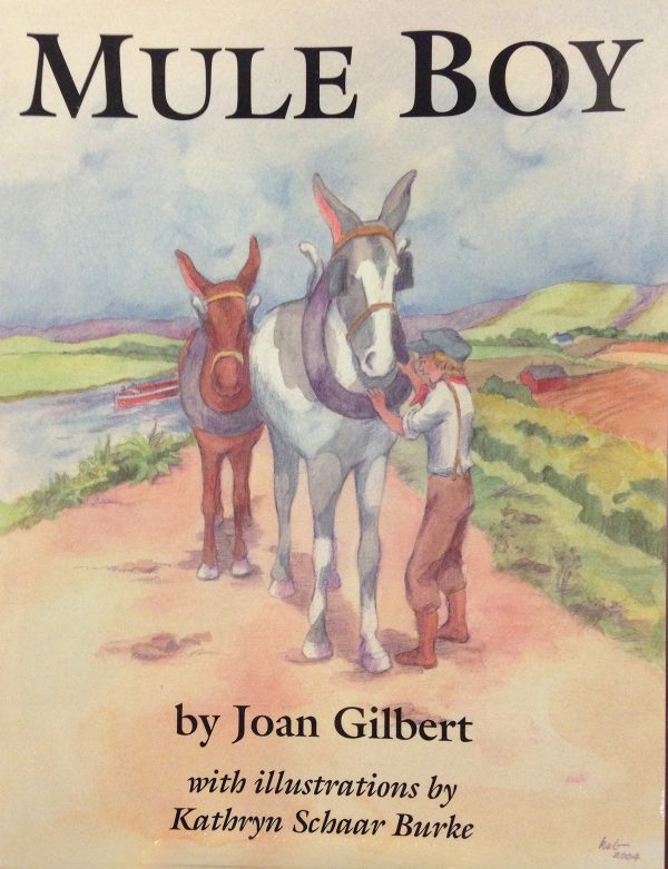 Mule Boy