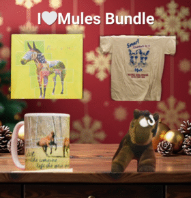 I Heart Mules Bundle